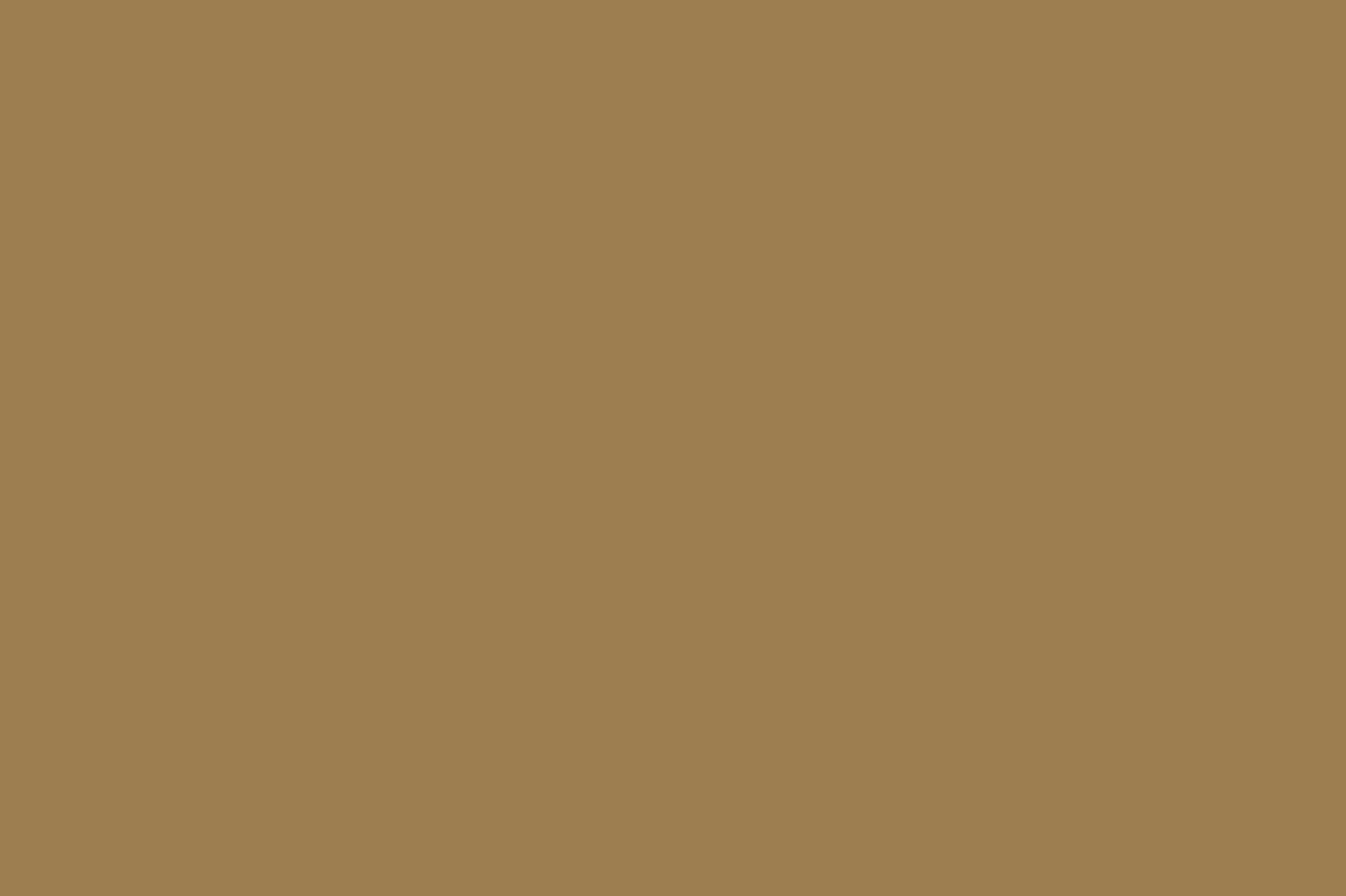 Placeholder panel for Placeholder project 05